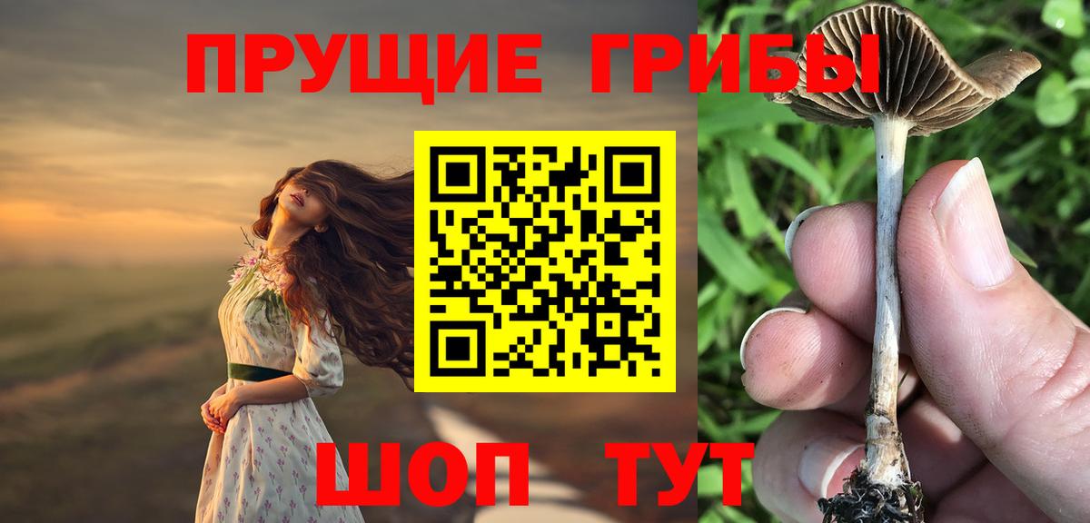 Павлово  Псилоцибиновые грибы Psilocybine cubensis  Вход с VPN 