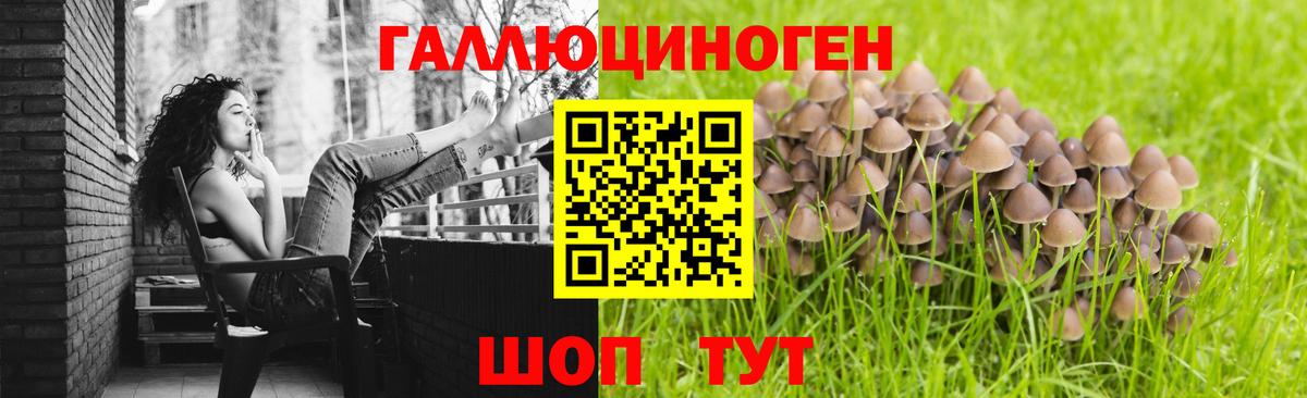 Псилоцибиновые грибы GOLDEN TEACHER Павлово