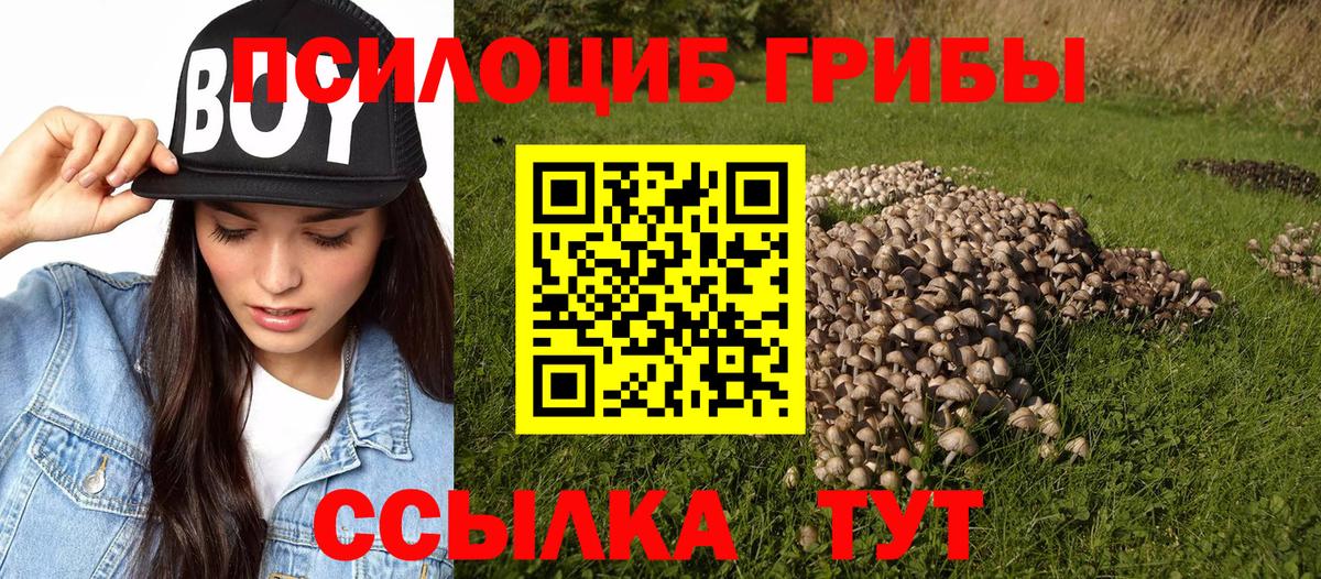 ЭКСТАЗИ  Вход с VPN  Альфа ПВП СОЛЬ кристаллы  Кокаин  Павлово  Меф МЯУ МЯУ кристаллы  Как найти наркотики?  Канабис  Гашиш 